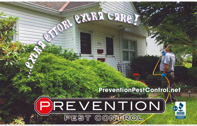 Prevention Pest Control Akron, Ohio