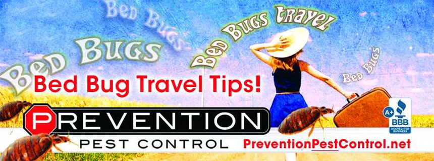 bed bugs travel tips